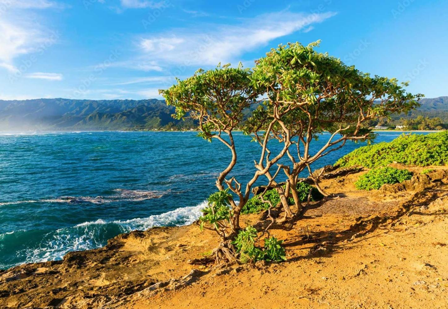Naupaka Breeze Ocean View Ac 30 Day Stay Specials! Laie Dış mekan fotoğraf